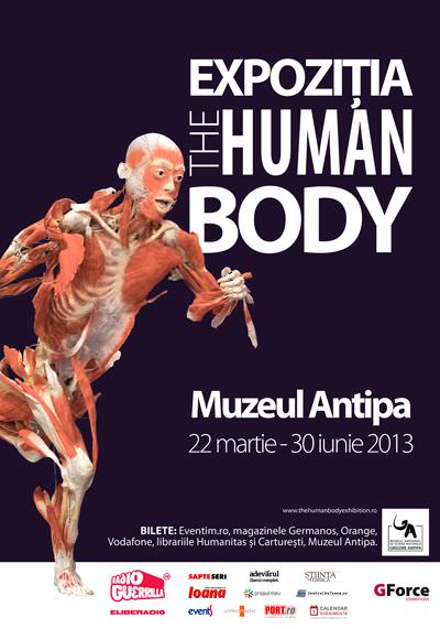 2013-human-body-antipa_sm
