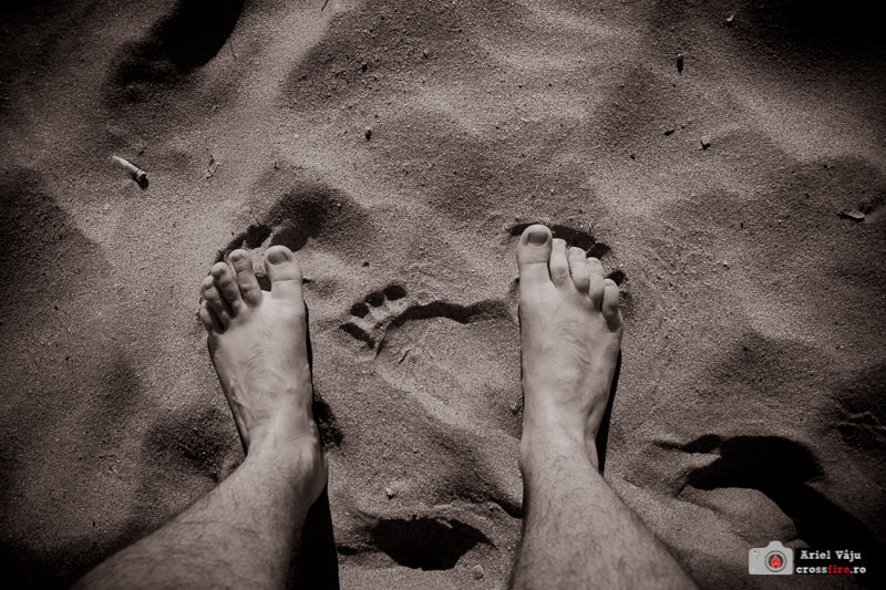 crossfire.ro-export_800px_beach_RO001